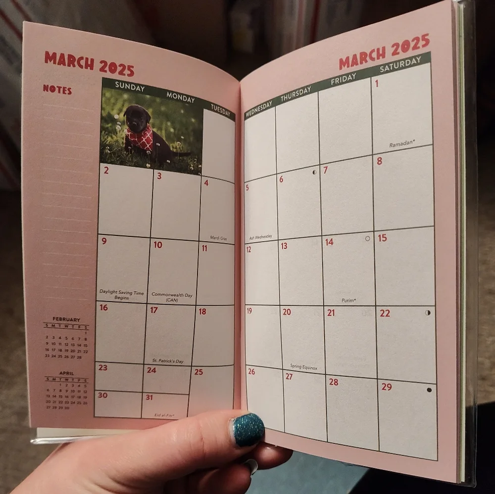2025 2026 Pocket Planner Kittens Horses Psalms Puppies NEW CHOOSE